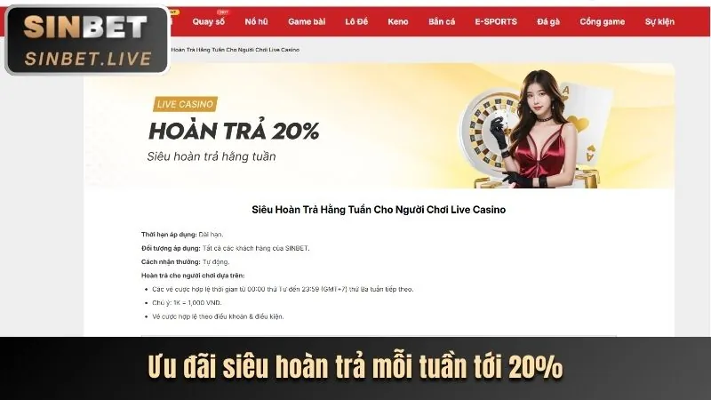 Hoàn trả hàng ngày tha bet 77